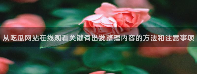 91吃瓜网络事件